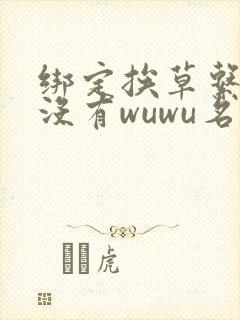 绑定挨草系统后没有wuwu名字