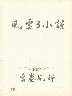 风云3小说