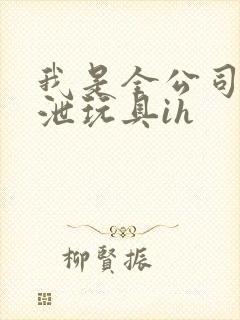 我是全公司的发泄玩具ih