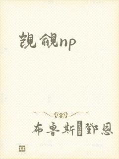 觊觎np