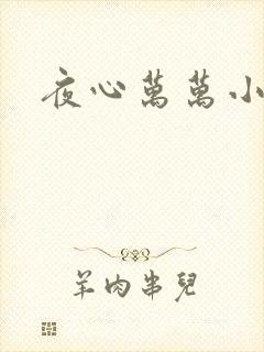 夜心万万小说