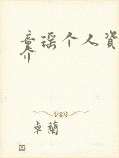 童瑶个人资料简介