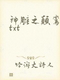 神雕之颠鸾倒凤txt