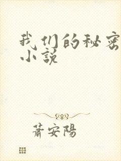 我们的秘密泰剧小说