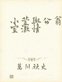 小莹与公翁办公室激情