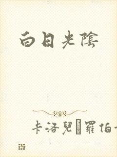 白日光阴