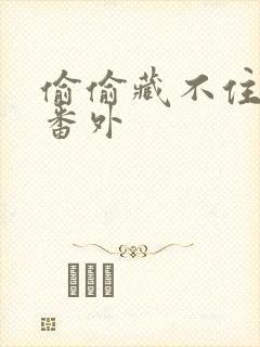 偷偷藏不住新婚番外