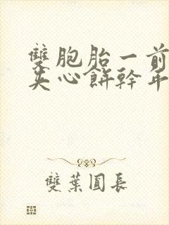 双胞胎一前一后夹心饼干年下