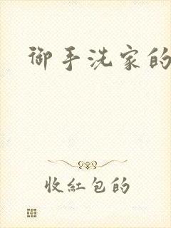 御手洗家的墙洞