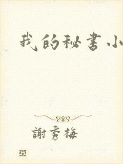 我的秘书小姐