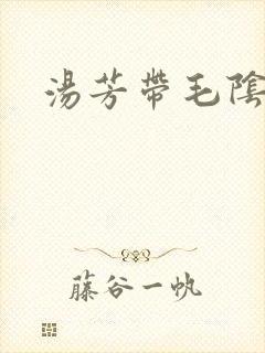 汤芳带毛阴部