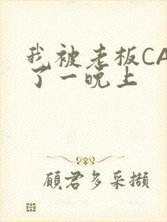 我被老板CAO了一晚上