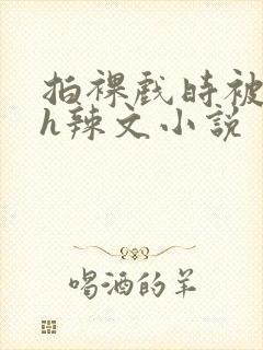 拍裸戏时被c了h辣文小说