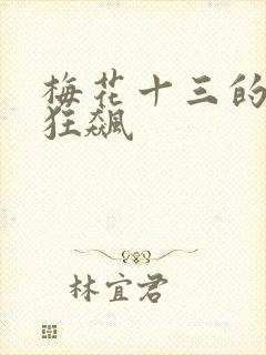 梅花十三的乳液狂飙