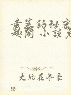 黄蓉的秘密 笔趣阁 小说免费阅读下载