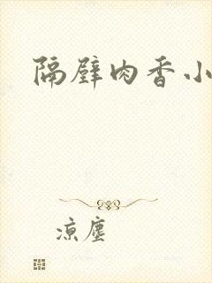 隔壁肉香小说