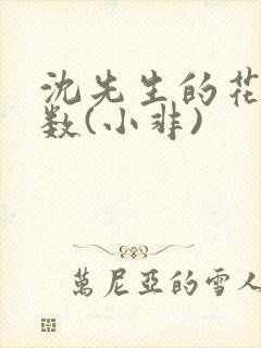 沈先生的花式调数(小非)