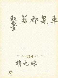 整篇都是车的文章