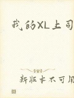 我的XL上司