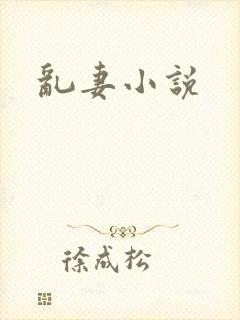 乱妻小说