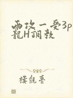 两攻一受3p双龙H调教