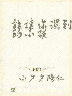 能让你湿到不行的小说