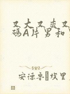 又大又爽又黄无码A片男和男