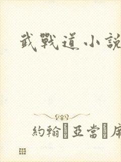 武战道小说