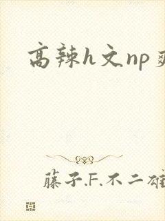 高辣h文np爽