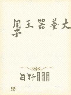 用玉器养大的皇子