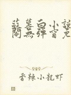 苏慕白小说笔趣阁无弹窗免费阅读