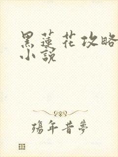 黑莲花攻略手册小说