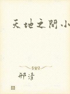 天地之间小说