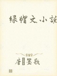 绿帽文小说