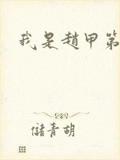 我是赵甲第小说