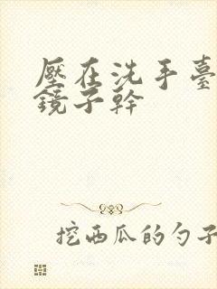 压在洗手台看着镜子干