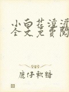 小白花浇灌日常全文免费阅读