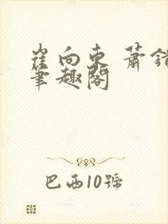 崔向东 萧错 笔趣阁