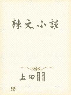 辣文小说