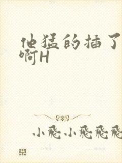 他猛的插了进去啊H