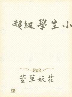 超级学生小说
