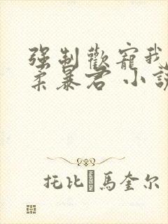 强制欢宠我的温柔暴君 小说