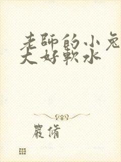 老师的小兔子好大好软水