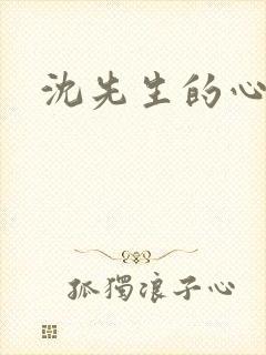 沈先生的心头宝