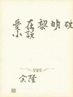 爱在黎明破晓前小说