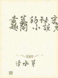 黄蓉的秘密 笔趣阁 小说免费阅读