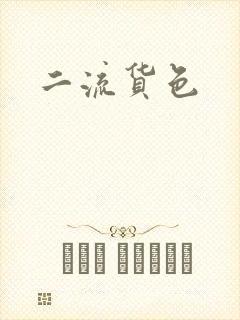 二流货色