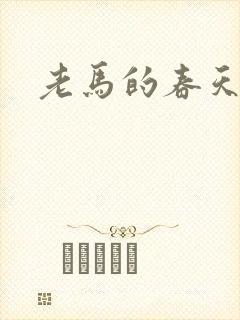 老马的春天敏静