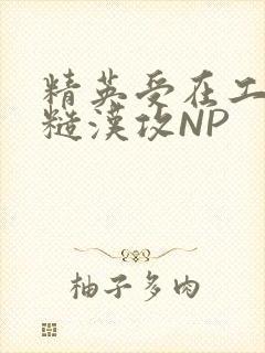 精英受在工地被糙汉攻NP