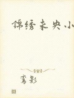 锦绣未央小说